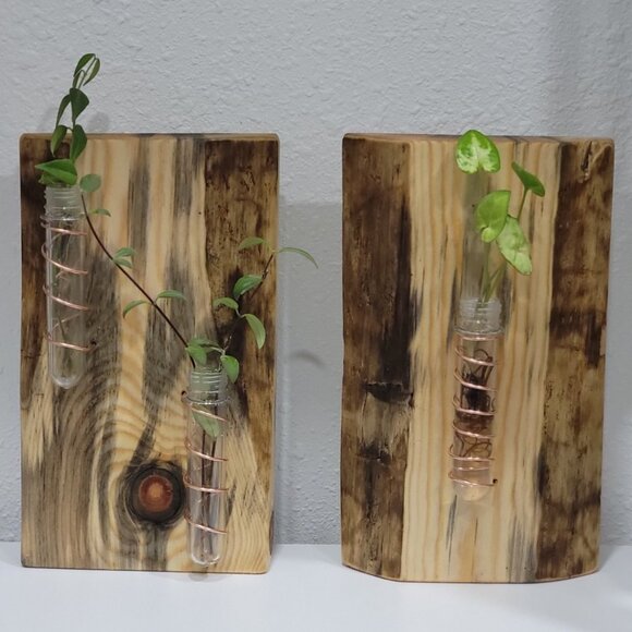 Handmade Blue Beetle Pine Live Edge Wood Slab Propagation Station Plants Rustic